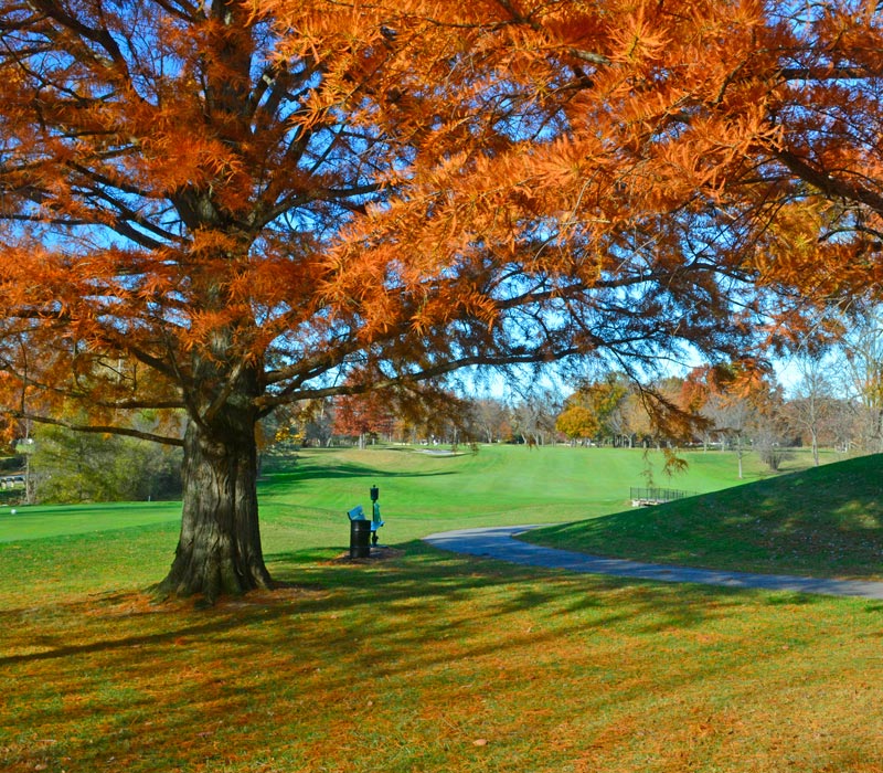 A Private Golf Outing Experience like no other.