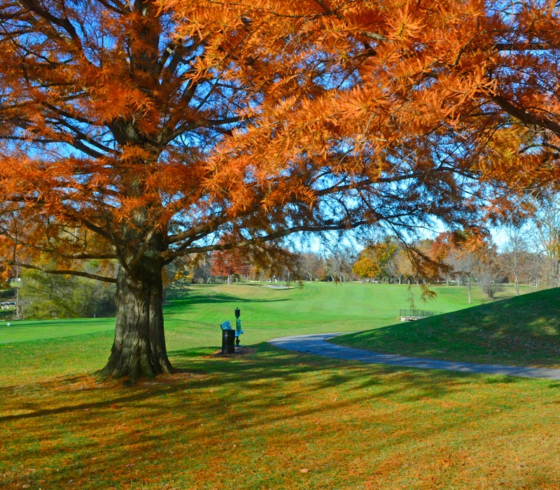 A Private Golf Outing Experience like no other.